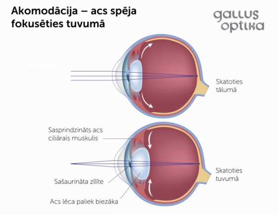 Akomodācija - acs spēja redzēd gan tālus, gan tuvus objektus